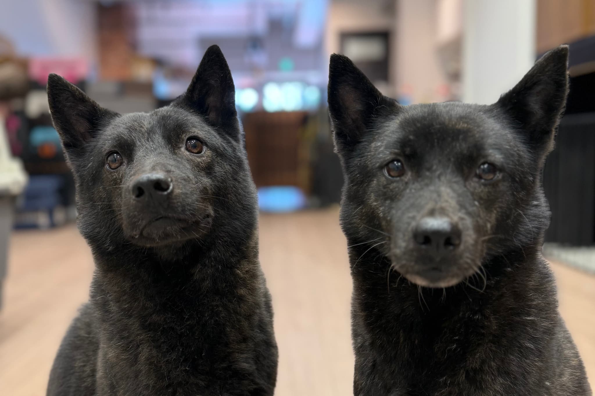 ヒーローイメージ03